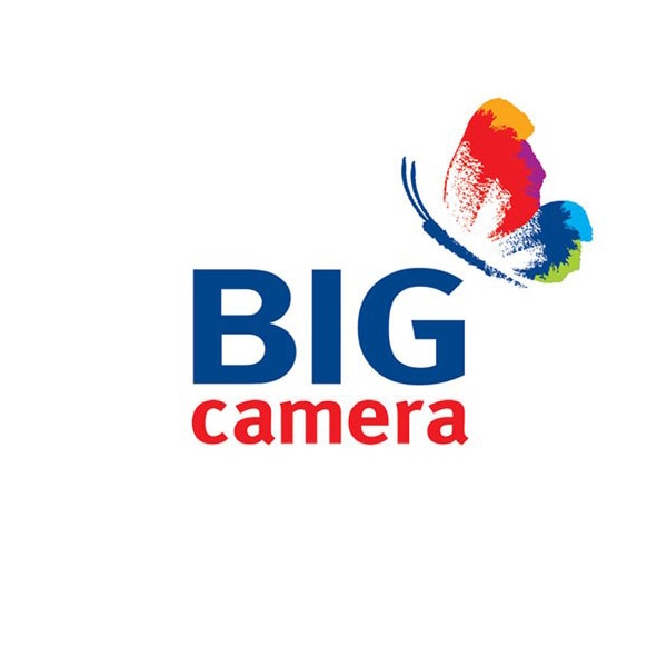 BIG logo