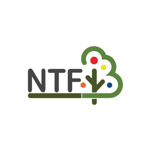 NTF