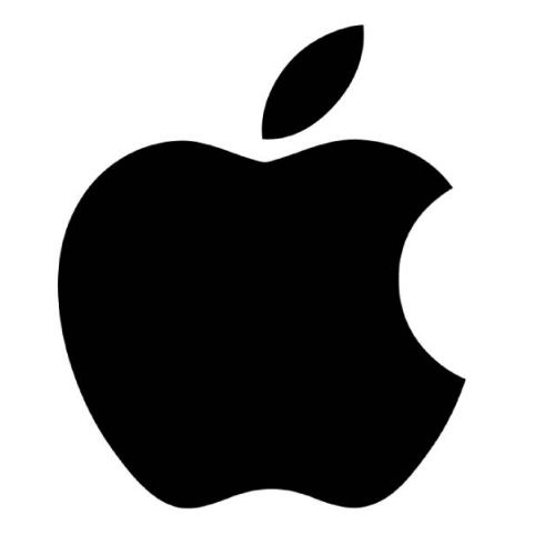 AAPL (APPLE INC) stock logo