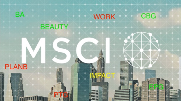 MSCI_Result SETScope